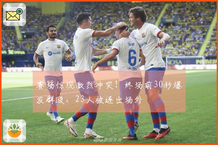 赛场惊现激烈冲突！终场前30秒爆发群殴，23人被逐出场外